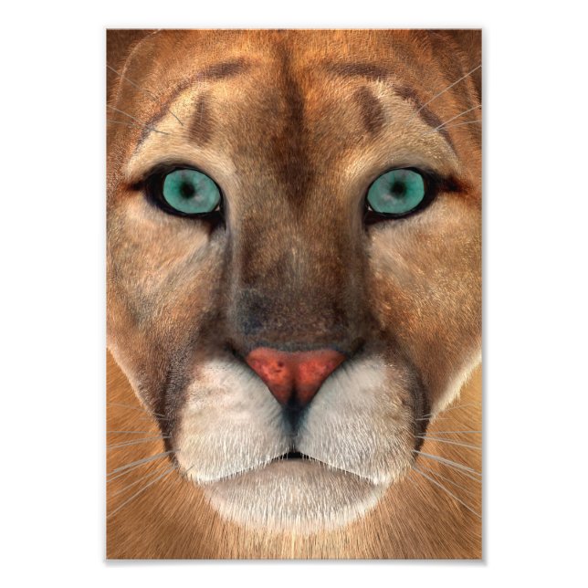 Impression Photo Puma (Devant)