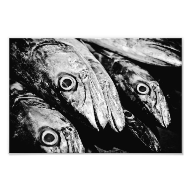 Impression Photo quatre yeux (Devant)