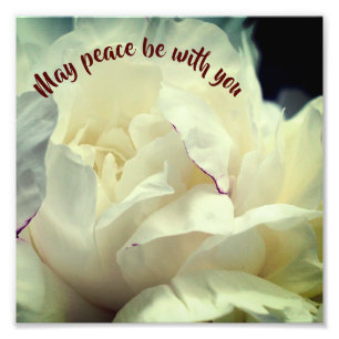 Impression Photo Que la paix soit avec vous Peony Inspiration 8x8