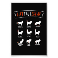 Queue de chat Parler Chat Kitten Meow Animal
