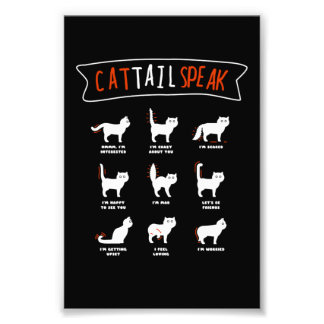Impression Photo Queue de chat Parler Chat Kitten Meow Animal