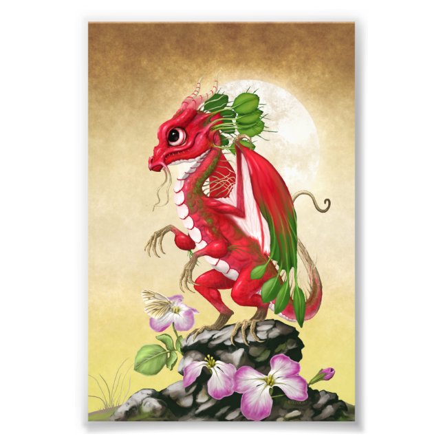 Impression Photo Radish Dragon 4x6 Print (Devant)