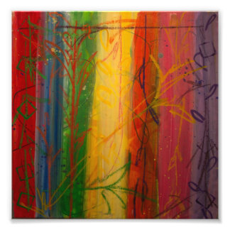 Impression Photo Rainbow Forrest par Bryce et Mary