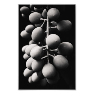Impression Photo raisins pour une journée maussade
