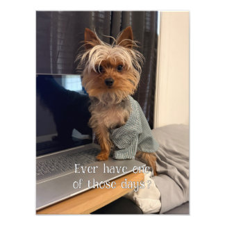 Impression Photo Ralphie le Yorkie Tasse à Thé a Une de Ces Journée