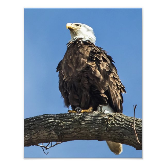 Impression Photo Recherche (Devant)