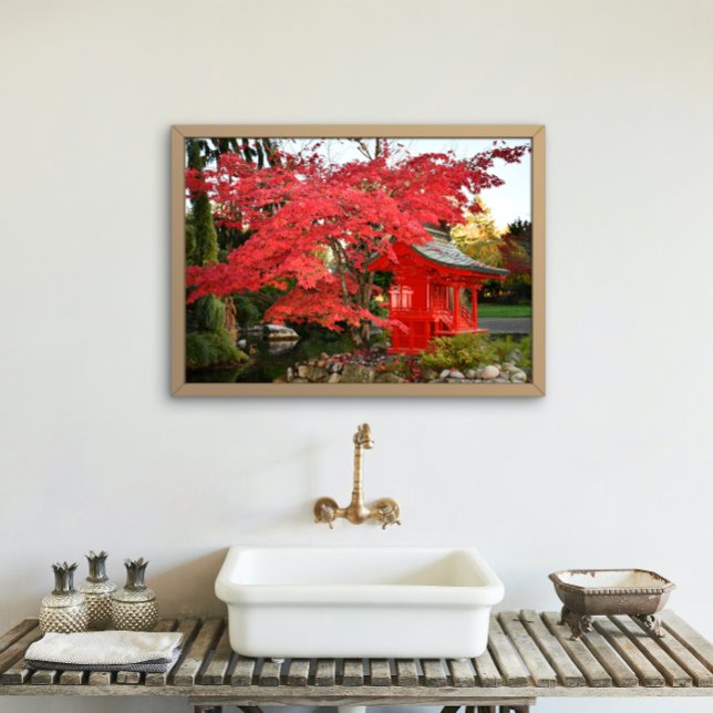 Impression Photo Red Japanese Maple and Garden Shrine (In Situ Framed)