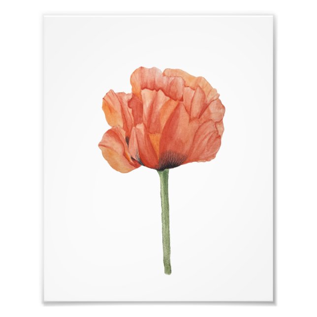 Impression Photo Red Poppy Watercolor Botanical Print (Devant)