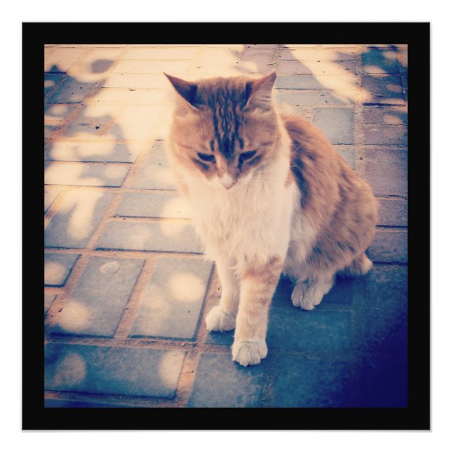 Impression Photo Réflexion (Devant)