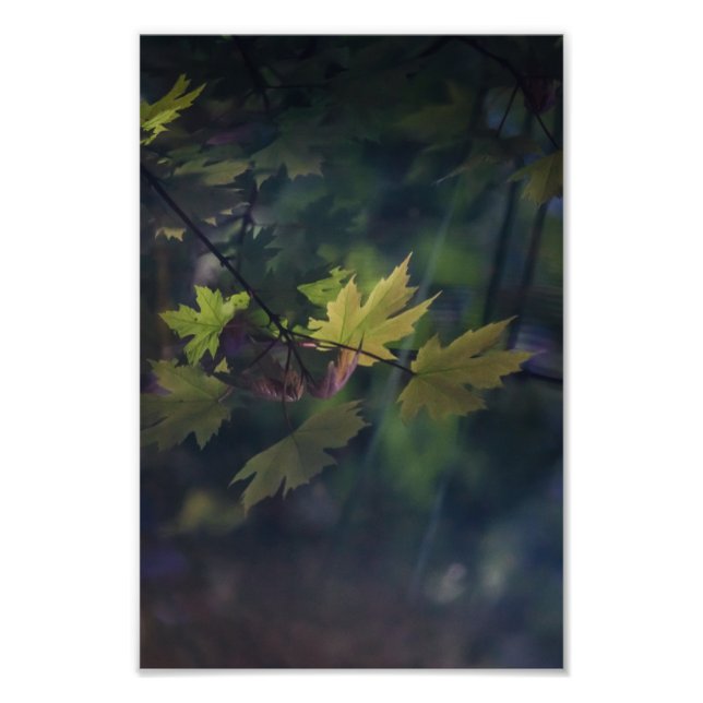 Impression Photo Réflexion d'automne — (Devant)