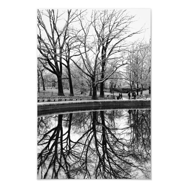 Impression Photo Réflexion des arbres d'hiver à Central Park (Devant)