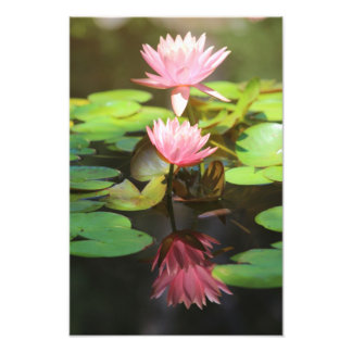 Impression Photo Réflexions glorieuses