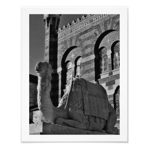 Impression Photo Réflexions sur les chameaux