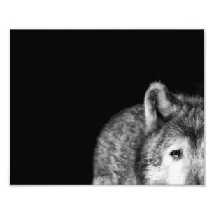Impression Photo Regard fixe de loup gris - copie noire et blanche