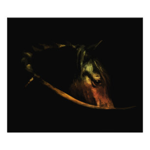 Impression Photo Regard Majestueux : Portrait de Cheval d'Art Fin