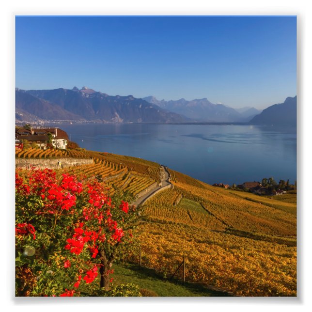 Impression Photo Région du Lavaux, Vaud, Suisse (Devant)