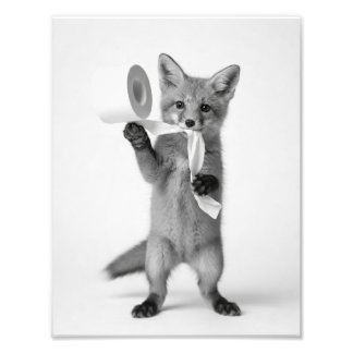 Impression Photo Renard drôle tenant du papier toilette, faune mini