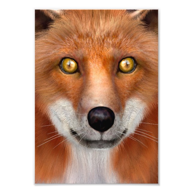 Impression Photo Renard roux (Devant)