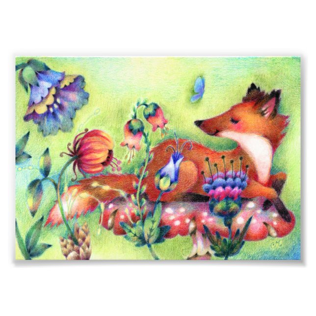 Impression Photo Renard sur un champignon - Art animal mignon (Devant)
