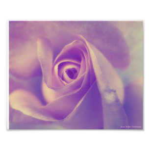 Impression Photo Repos Tranquille