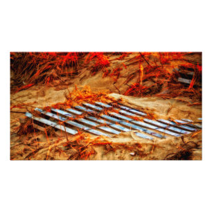 Impression Photo Reprendre La Plage