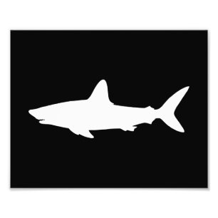 Impression Photo Requin qui Nage