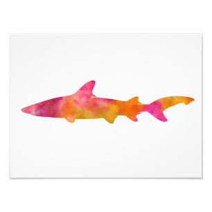 Impression Photo Requins de jaune de rose de silhouette d'aquarelle