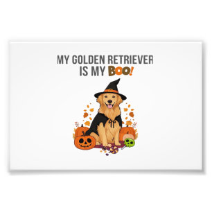 Impression Photo Retriever doré Halloween Chien Mon Golden Retriev