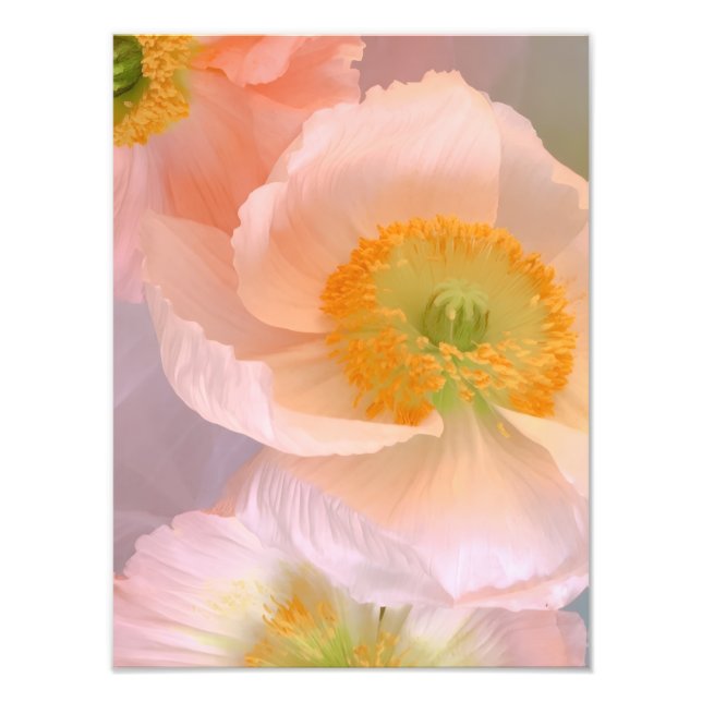 Impression Photo Rêveur (Devant)