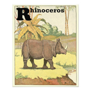 Impression Photo Rhinoceros à l'alphabet du trou d'eau