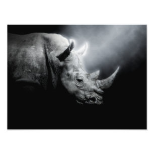 Impression Photo Rhinocéros Animal Forêt Sauvage Jungle Nature Rhin