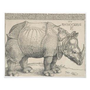 Impression Photo Rhinoceros, coupe de bois par Albrecht Durer