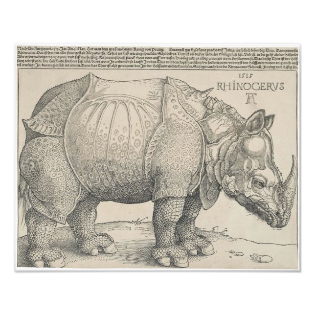 Impression Photo Rhinoceros, coupe de bois par Albrecht Durer (Devant)