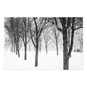 Impression Photo ris I side with trees