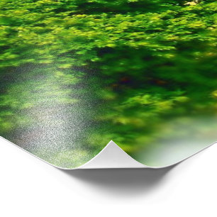 Impression Photo Rives du lac de Chicago Beach