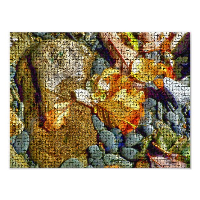 IMPRESSION PHOTO RIVIÈRE (Devant)