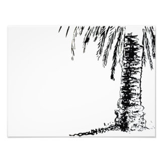 Impression Photo Roberts Tree