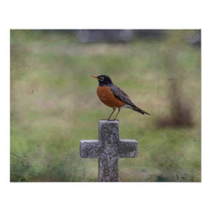 Impression Photo Robin sur une croix