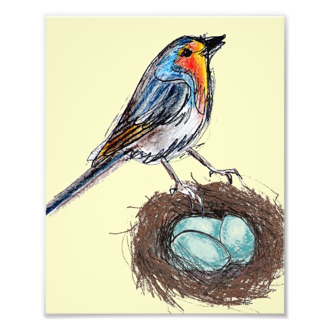 Impression Photo Robin's Egg Nest art d'impression Robin Bird 8x10 (Devant)