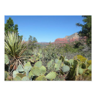 Impression Photo Rochers rouges et cactus I