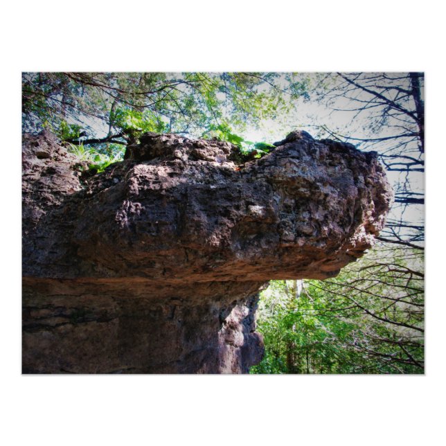 Impression Photo "Rock-opotamus" (Devant)