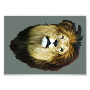 Impression Photo Roi imparfait