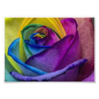 Impression Photo Rose arc-en-ciel Abstrait
