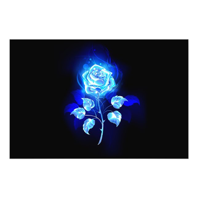 Impression Photo Rose bleu brûlant (Devant)
