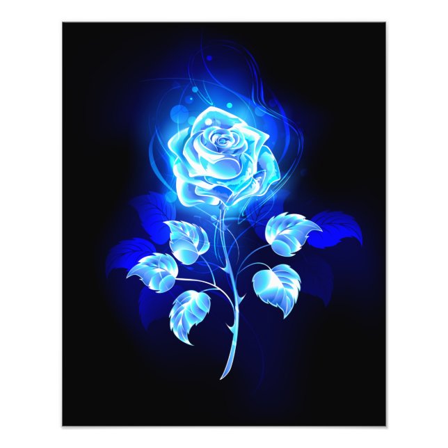 Impression Photo Rose bleu brûlant (Devant)