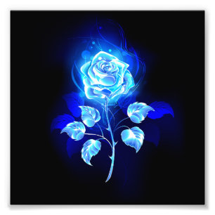 Impression Photo Rose bleu brûlant