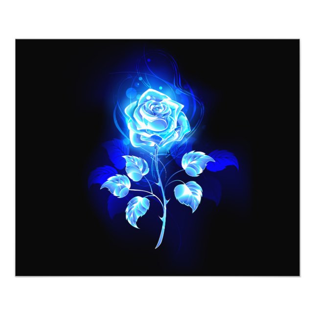 Impression Photo Rose bleu brûlant (Devant)