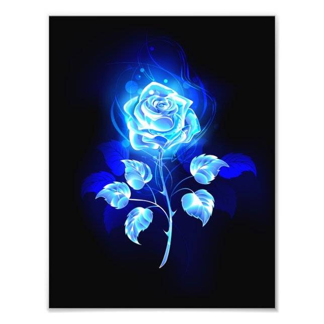 Impression Photo Rose bleu brûlant (Devant)