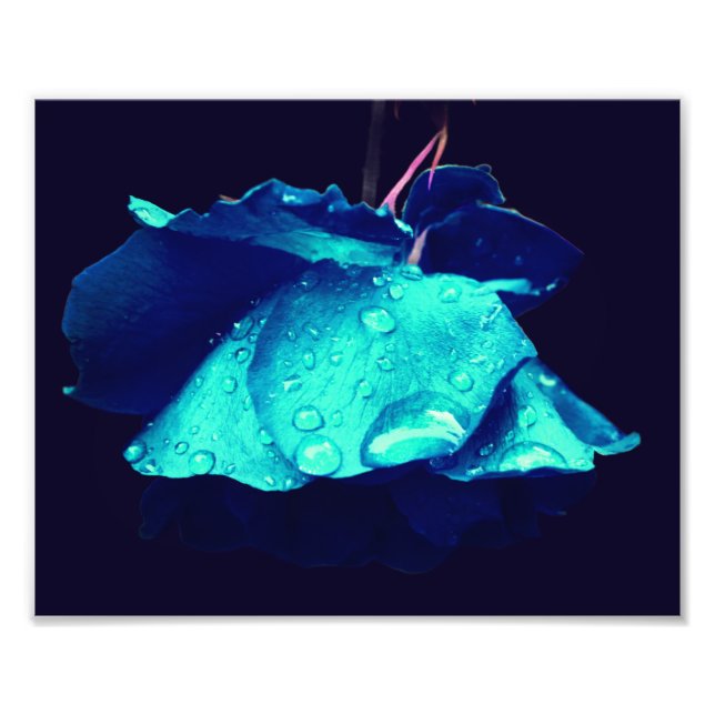Impression Photo Rose bleu Raindrops Abstrait Fleur Art 8x10 (Devant)