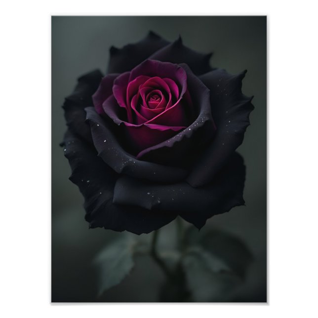 Impression Photo Rose Cœur Noir  (Devant)